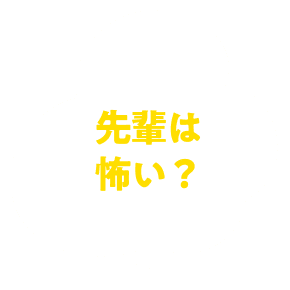 岐建ってどんな文化？